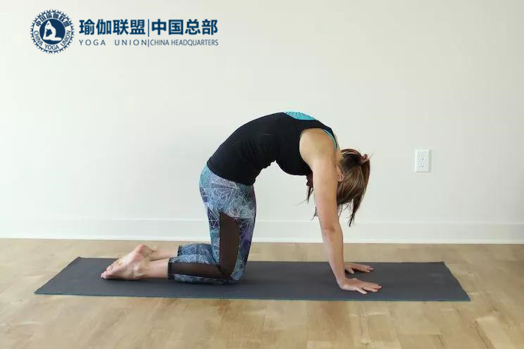 瑜伽教练改善腰痛用什么体式？分享给你6个改善体式！