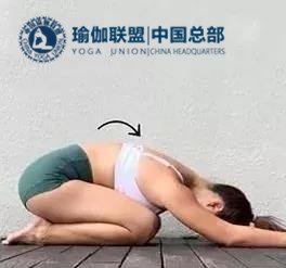 瑜伽教练都是用哪些体式放松腰背部？教给你6个放松体式！
