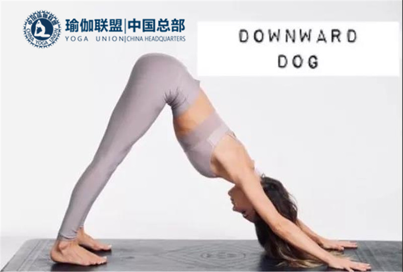 瑜伽教练考证