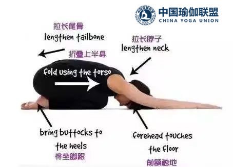 瑜伽教练易做错体式有哪些？指点5个易做错体式！
